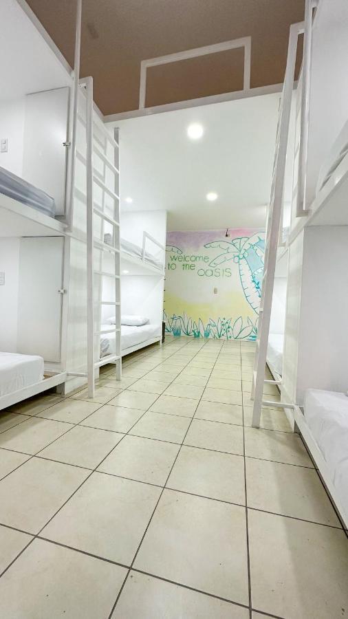 Sjo Oasis Hostel San Jose  Exterior photo